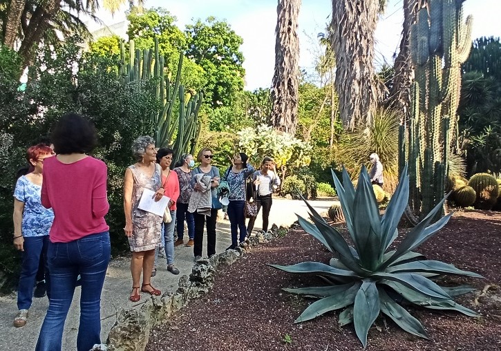 Plantes medicinals. Taller crema d'àloe (16/05/22)